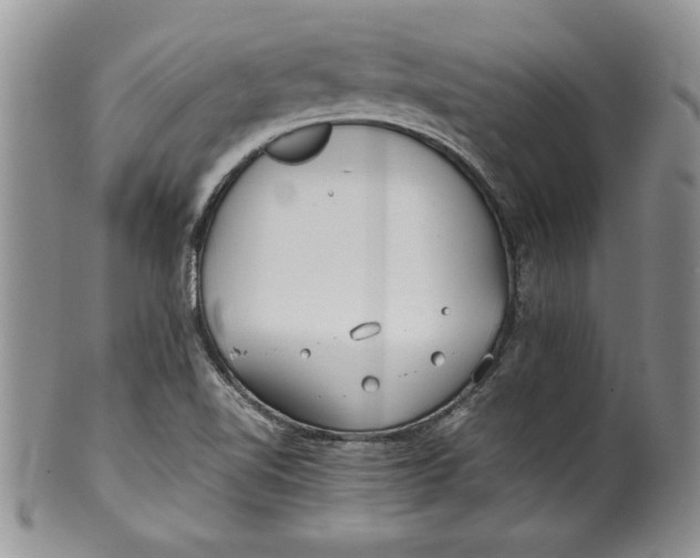 X0000099931510200806131350