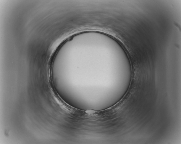 X0000099931511200806131350