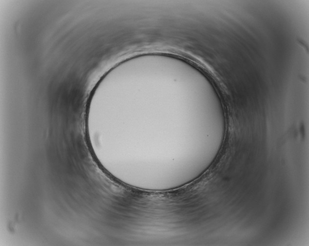 X0000099931512200806131351