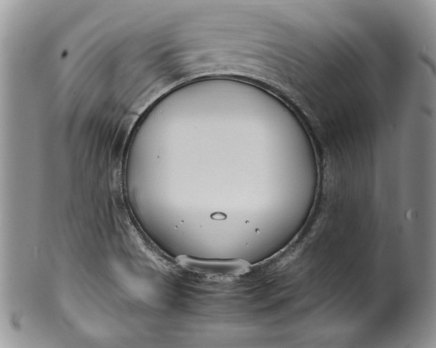 X0000099931513200806131351