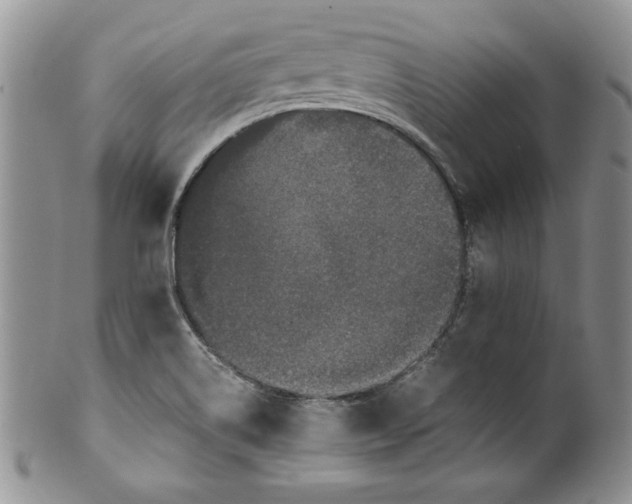 X0000099931514200806131351