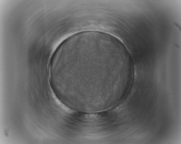 X0000099931515200806131351