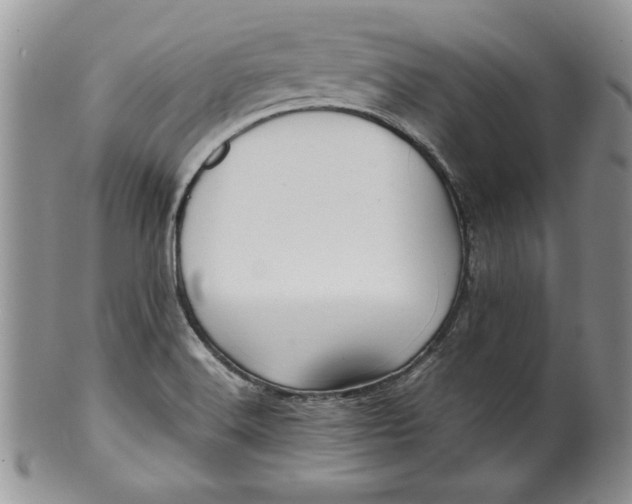 X0000099931516200806131351