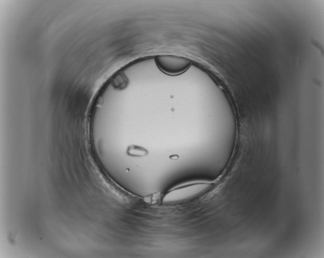 X0000099931517200806131351