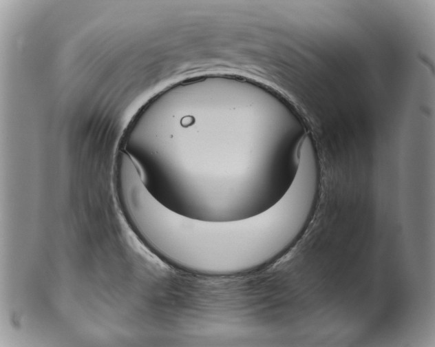 X0000099931518200806131351