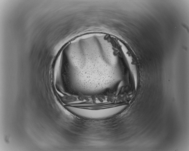 X0000099931519200806131351