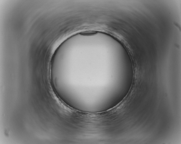 X0000099931520200806131351