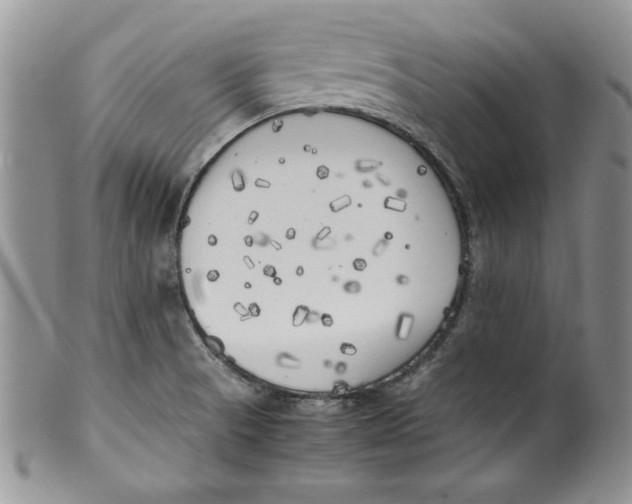 X0000099931521200806131351