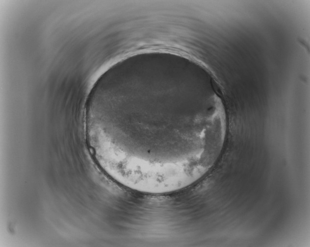 X0000099931522200806131351