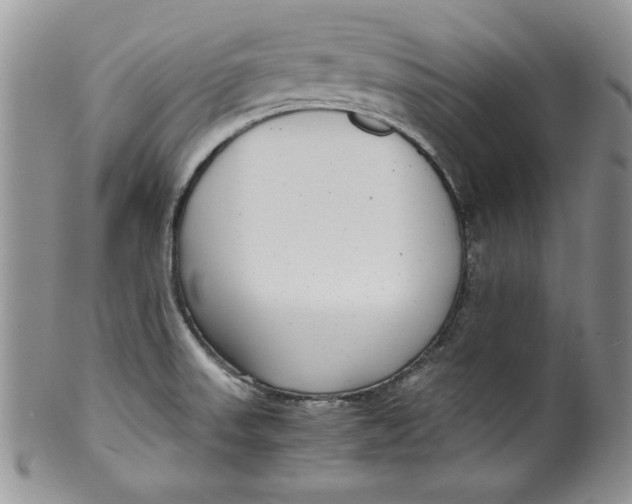 X0000099931523200806131351