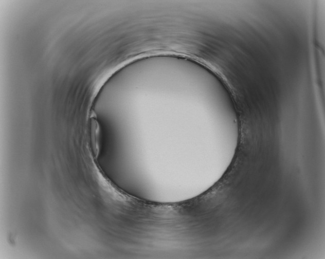 X0000099931524200806131351