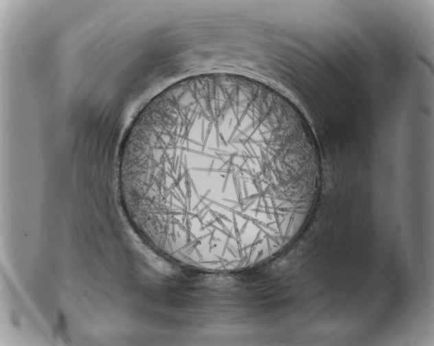 X0000099931525200806131351