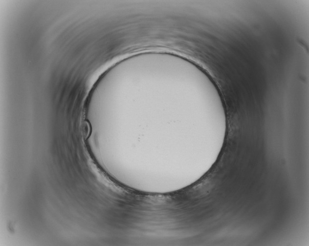 X0000099931526200806131351