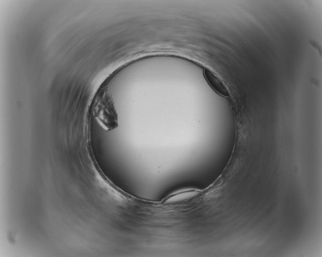 X0000099931527200806131351