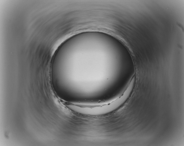 X0000099931530200806131351