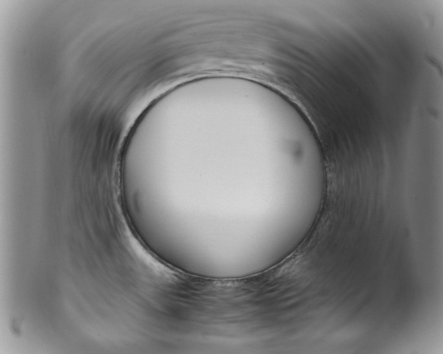 X0000099931531200806131351