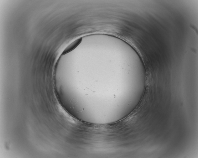 X0000099931532200806131351