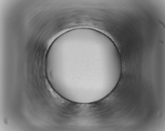 X0000099931534200806131351