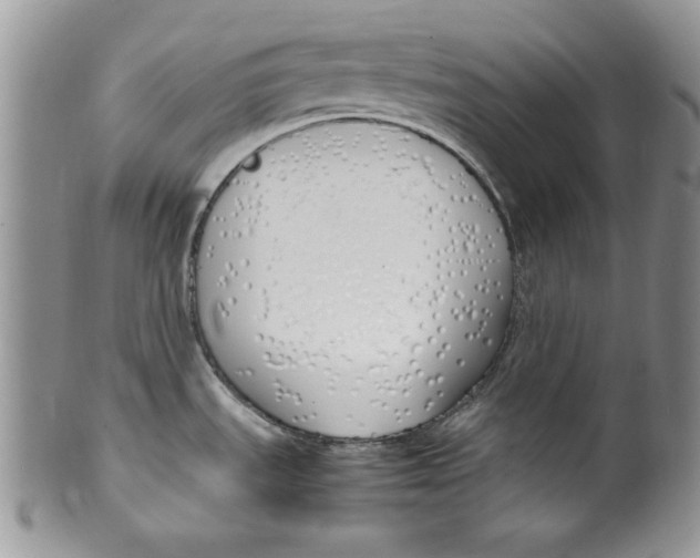 X0000099931535200806131351