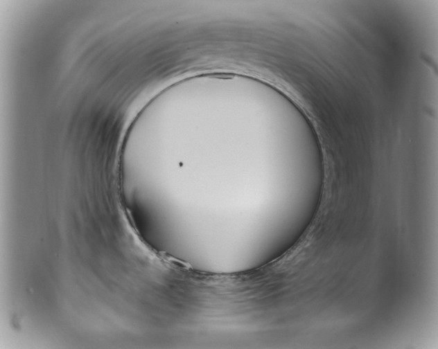 X0000099931536200806131351