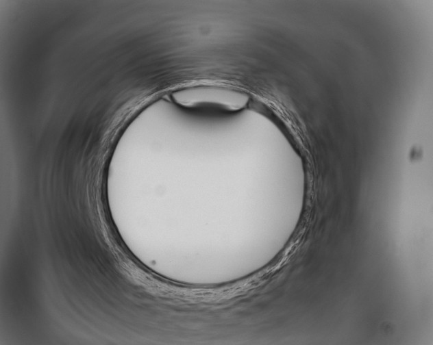 X0000099930001200806201108