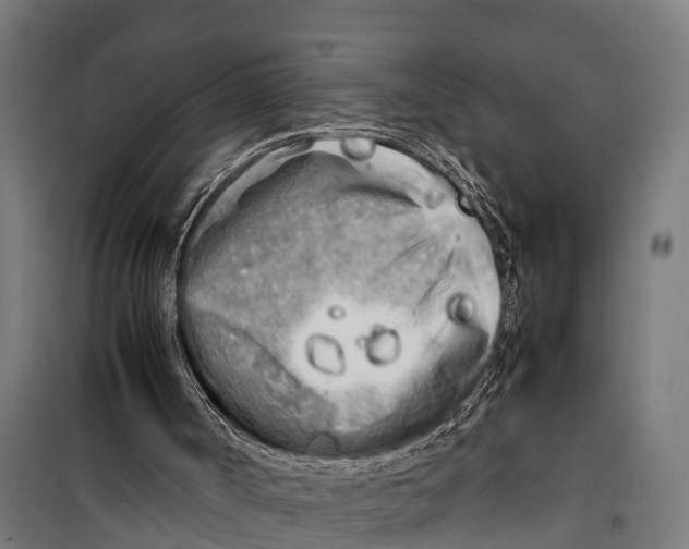 X0000099930002200806201108