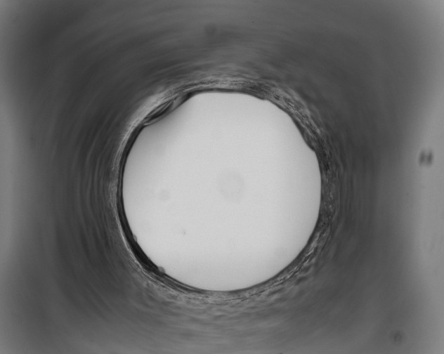 X0000099930003200806201108