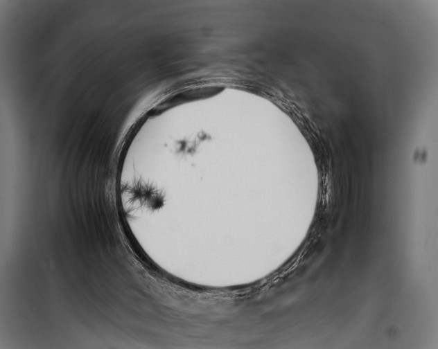 X0000099930004200806201108