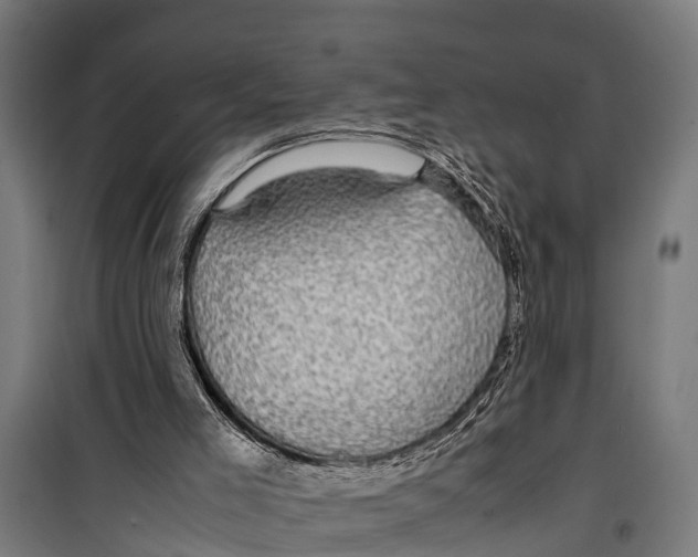 X0000099930005200806201108