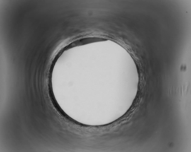 X0000099930007200806201107