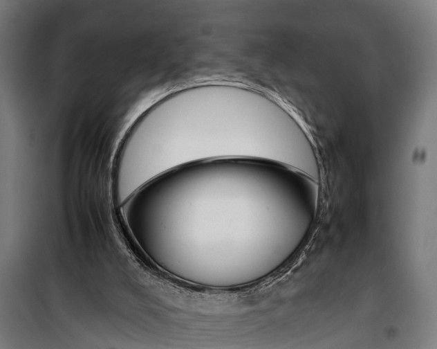 X0000099930008200806201107