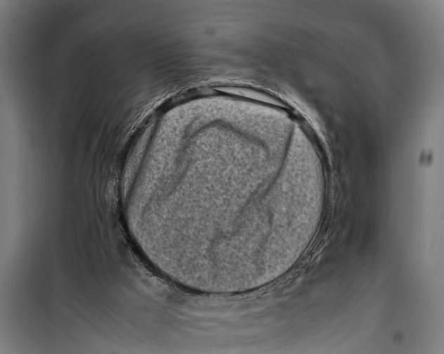 X0000099930009200806201107