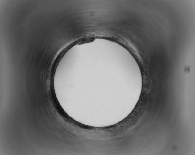 X0000099930012200806201107