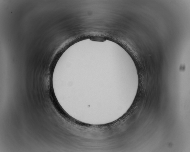 X0000099930016200806201107