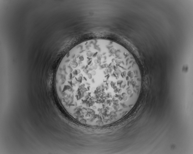 X0000099930018200806201107