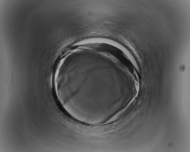 X0000099930019200806201107