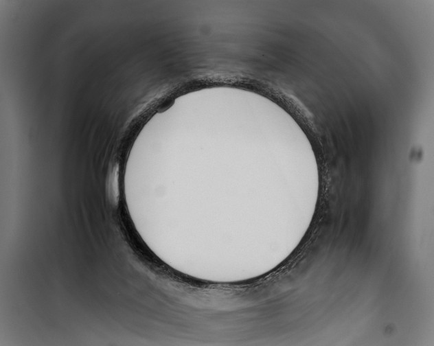 X0000099930020200806201107