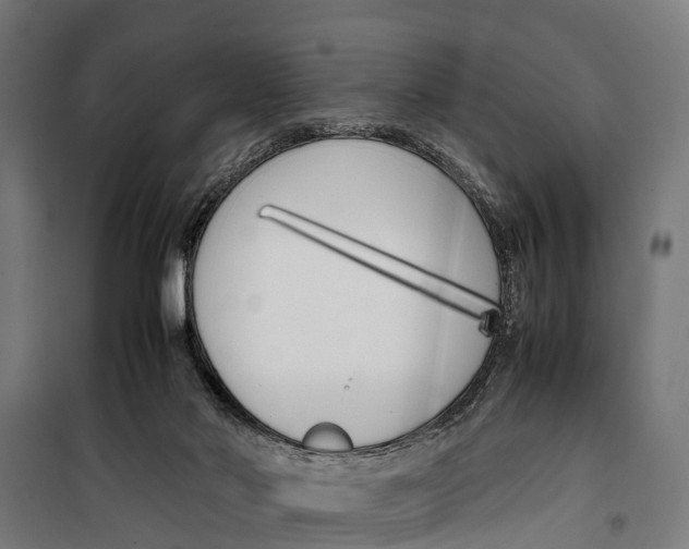 X0000099930022200806201107