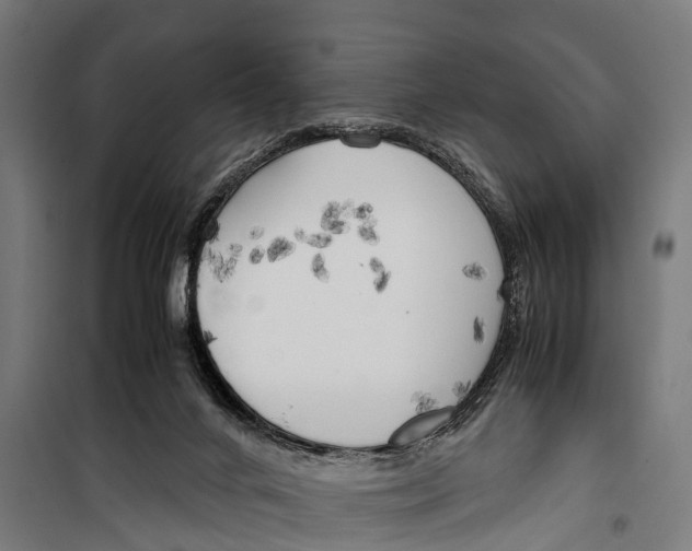 X0000099930024200806201107