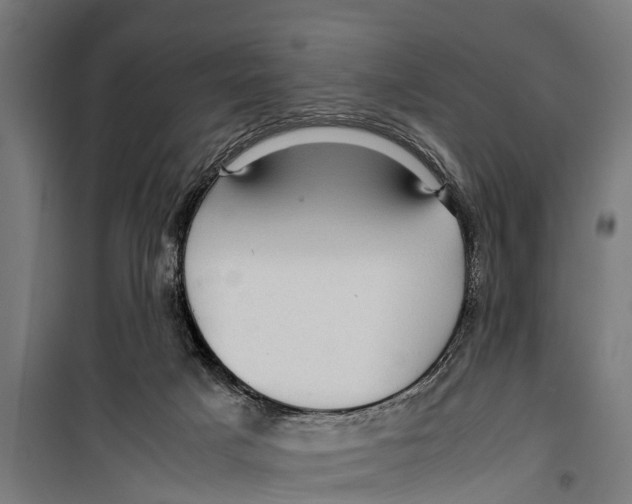 X0000099930025200806201107