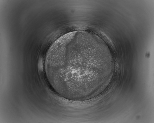 X0000099930026200806201107