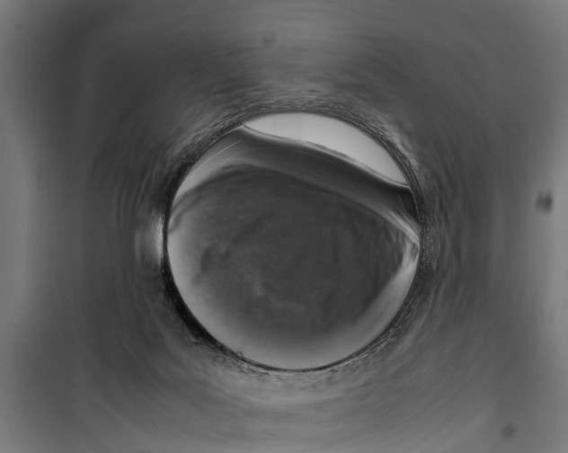 X0000099930027200806201107