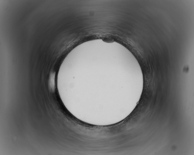 X0000099930028200806201107