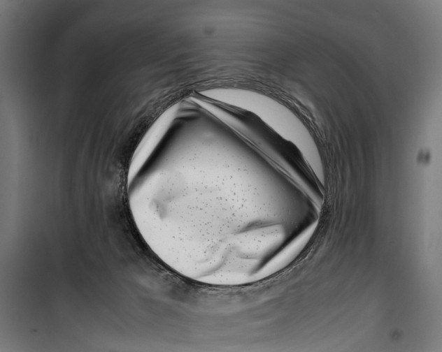 X0000099930029200806201107