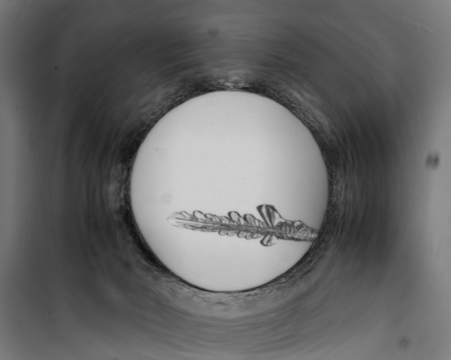 X0000099930030200806201107