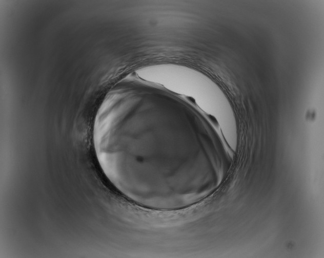 X0000099930031200806201107