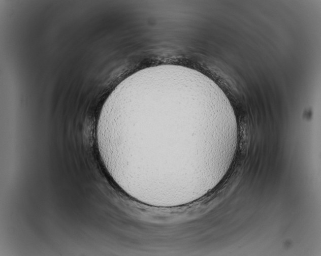 X0000099930034200806201107