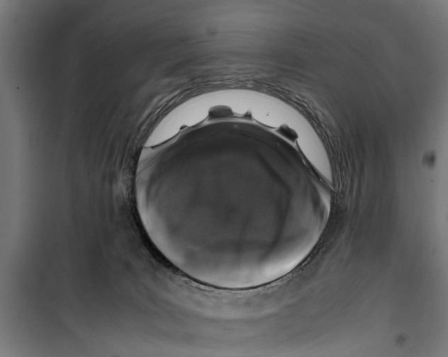 X0000099930035200806201107