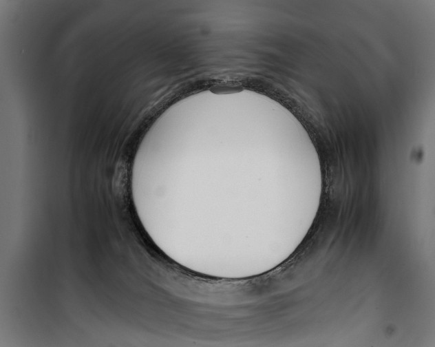 X0000099930036200806201107