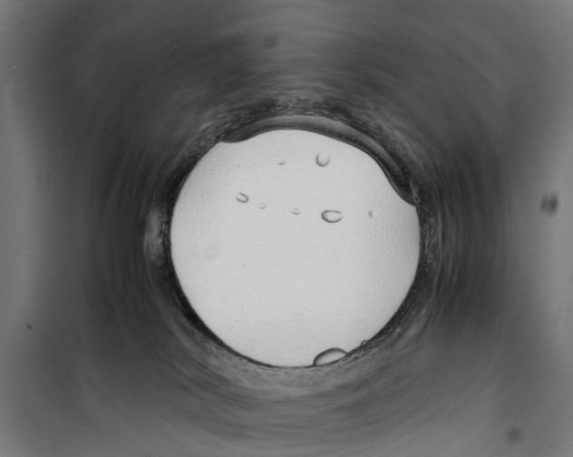 X0000099930038200806201107